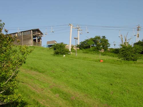 view_summer_up_slope