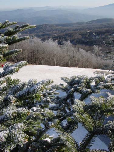 view_spring_new_snow