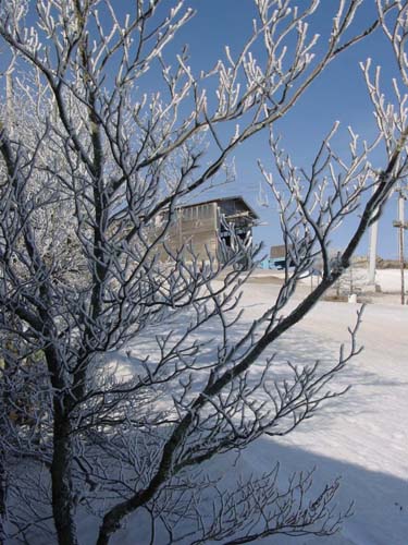 view_winter_quadlift