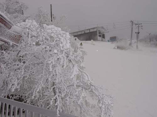 view_winter_up_slope_#C0C63
